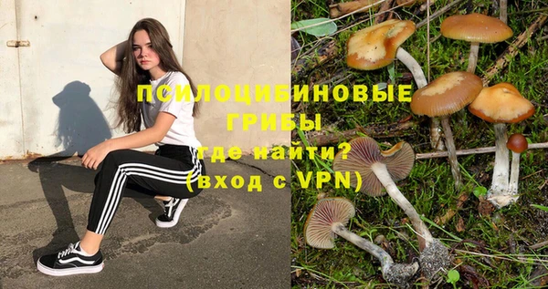 твердый Бугульма