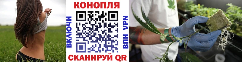 hydra сайт  Новомичуринск  Марихуана сатива  сколько стоит 
